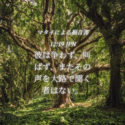Picture 04 - マタイによる福音書 12:19 JPN - 彼は争わず、叫ばず、またその声を - Bible Verse Picture