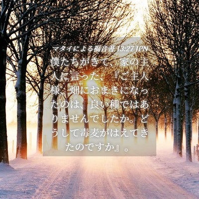 Picture 04 - マタイによる福音書 13:27 JPN - 僕たちがきて、家の主人に言った、 - Bible Verse Picture