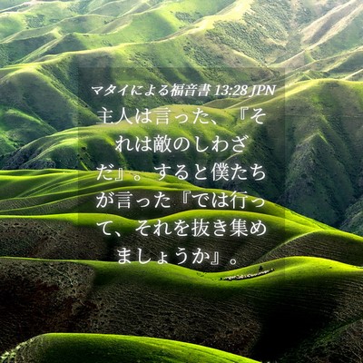 Picture 04 - マタイによる福音書 13:28 JPN - 主人は言った、『それは敵のしわざ - Bible Verse Picture