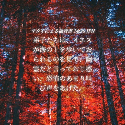 Picture 04 - マタイによる福音書 14:26 JPN - 弟子たちは、イエスが海の上を歩い - Bible Verse Picture