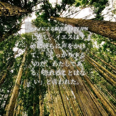 Picture 04 - マタイによる福音書 14:27 JPN - しかし、イエスはすぐに彼らに声を - Bible Verse Picture