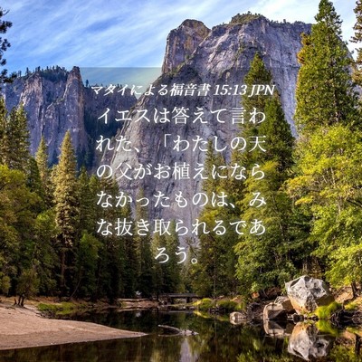 Picture 04 - マタイによる福音書 15:13 JPN - イエスは答えて言われた、「わたし - Bible Verse Picture
