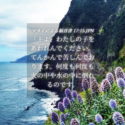Picture 04 - マタイによる福音書 17:15 JPN - 「主よ、わたしの子をあわれんでく - Bible Verse Picture