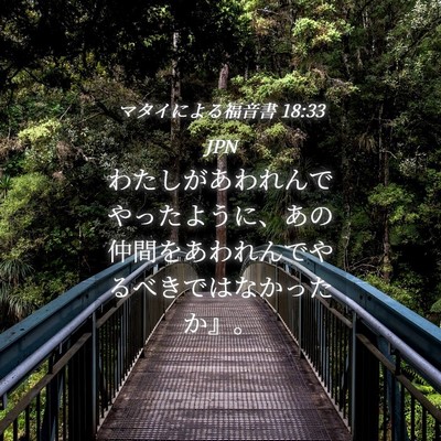 Picture 04 - マタイによる福音書 18:33 JPN - わたしがあわれんでやったように、 - Bible Verse Picture