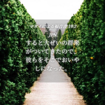 Picture 04 - マタイによる福音書 19:2 JPN - すると大ぜいの群衆がついてきたの - Bible Verse Picture