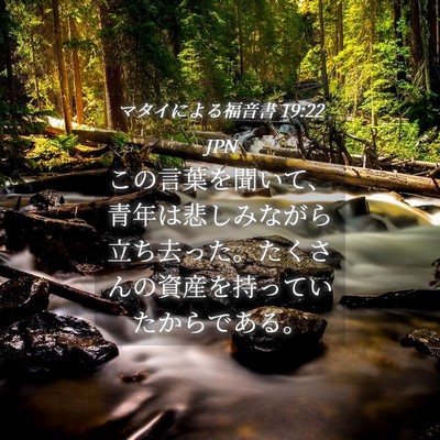Picture 04 - マタイによる福音書 19:22 JPN - この言葉を聞いて、青年は悲しみな - Bible Verse Picture