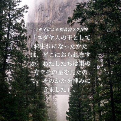 Picture 04 - マタイによる福音書 2:2 JPN - 「ユダヤ人の王としてお生れになっ - Bible Verse Picture