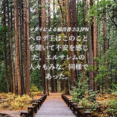 Picture 04 - マタイによる福音書 2:3 JPN - ヘロデ王はこのことを聞いて不安を - Bible Verse Picture