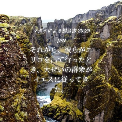 Picture 04 - マタイによる福音書 20:29 JPN - それから、彼らがエリコを出て行っ - Bible Verse Picture