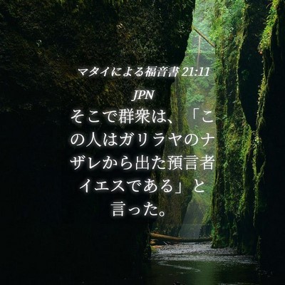 Picture 04 - マタイによる福音書 21:11 JPN - そこで群衆は、「この人はガリラヤ - Bible Verse Picture