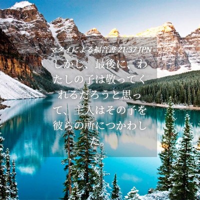 Picture 04 - マタイによる福音書 21:37 JPN - しかし、最後に、わたしの子は敬っ - Bible Verse Picture