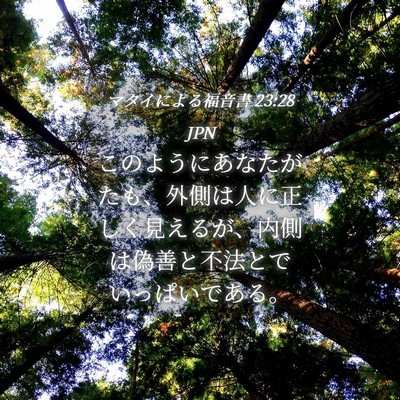 Picture 04 - マタイによる福音書 23:28 JPN - このようにあなたがたも、外側は人 - Bible Verse Picture