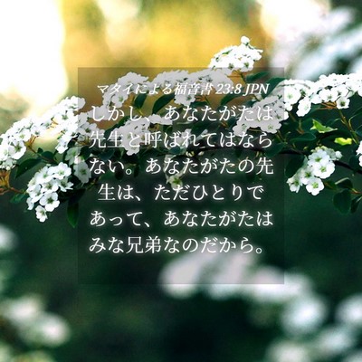 Picture 04 - マタイによる福音書 23:8 JPN - しかし、あなたがたは先生と呼ばれ - Bible Verse Picture