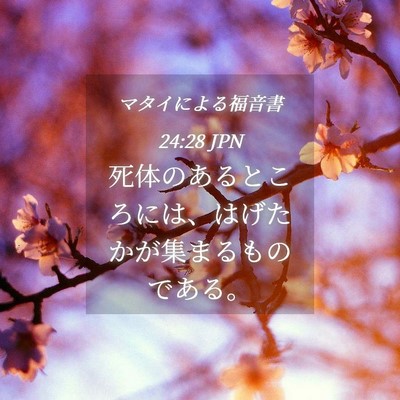 Picture 04 - マタイによる福音書 24:28 JPN - 死体のあるところには、はげたかが - Bible Verse Picture