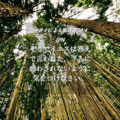 Picture 04 - マタイによる福音書 24:4 JPN - そこでイエスは答えて言われた、「 - Bible Verse Picture
