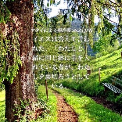 Picture 04 - マタイによる福音書 26:23 JPN - イエスは答えて言われた、「わたし - Bible Verse Picture