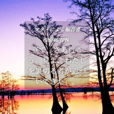 Picture 04 - マタイによる福音書 26:46 JPN - 立て、さあ行こう。見よ、わたしを - Bible Verse Picture