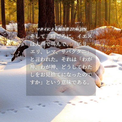 Picture 04 - マタイによる福音書 27:46 JPN - そして三時ごろに、イエスは大声で - Bible Verse Picture