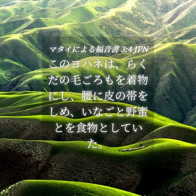 Picture 04 - マタイによる福音書 3:4 JPN - このヨハネは、らくだの毛ごろもを - Bible Verse Picture