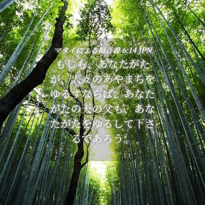 Picture 04 - マタイによる福音書 6:14 JPN - もしも、あなたがたが、人々のあや - Bible Verse Picture