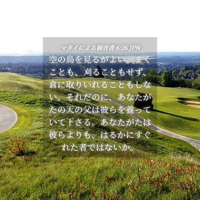 Picture 04 - マタイによる福音書 6:26 JPN - 空の鳥を見るがよい。まくことも、 - Bible Verse Picture