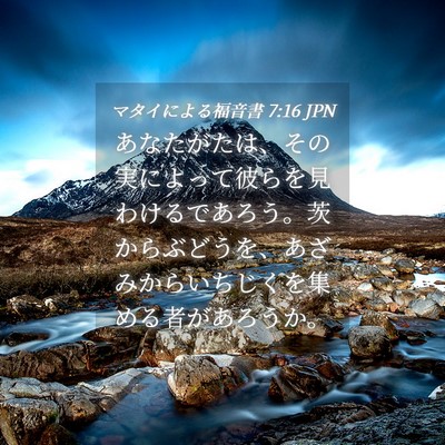 Picture 04 - マタイによる福音書 7:16 JPN - あなたがたは、その実によって彼ら - Bible Verse Picture
