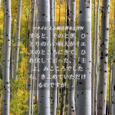Picture 04 - マタイによる福音書 8:2 JPN - すると、そのとき、ひとりのらい病 - Bible Verse Picture