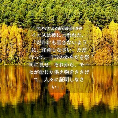 Picture 04 - マタイによる福音書 8:4 JPN - イエスは彼に言われた、「だれにも - Bible Verse Picture