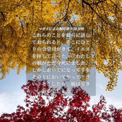 Picture 04 - マタイによる福音書 9:18 JPN - これらのことを彼らに話しておられ - Bible Verse Picture