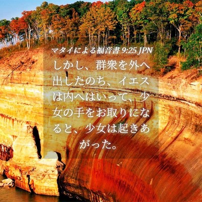 Picture 04 - マタイによる福音書 9:25 JPN - しかし、群衆を外へ出したのち、イ - Bible Verse Picture