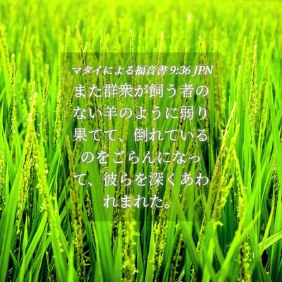 Picture 04 - マタイによる福音書 9:36 JPN - また群衆が飼う者のない羊のように - Bible Verse Picture