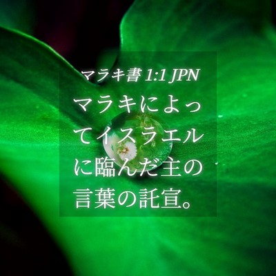 Picture 04 - マラキ書 1:1 JPN - マラキによってイスラエルに臨んだ - Bible Verse Picture