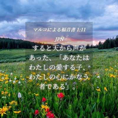 Picture 04 - マルコによる福音書 1:11 JPN - すると天から声があった、「あなた - Bible Verse Picture
