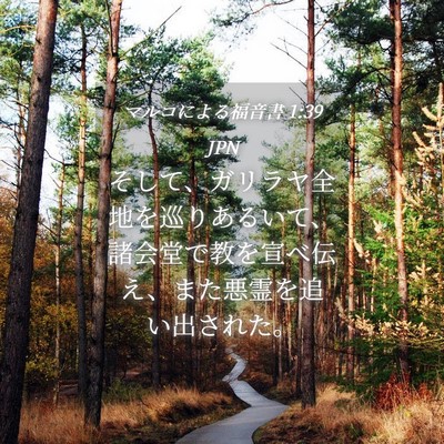 Picture 04 - マルコによる福音書 1:39 JPN - そして、ガリラヤ全地を巡りあるい - Bible Verse Picture