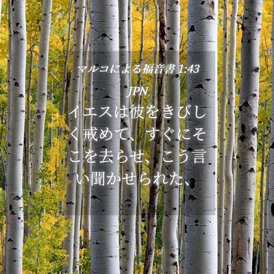 Picture 04 - マルコによる福音書 1:43 JPN - イエスは彼をきびしく戒めて、すぐ - Bible Verse Picture