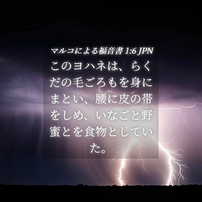 Picture 04 - マルコによる福音書 1:6 JPN - このヨハネは、らくだの毛ごろもを - Bible Verse Picture