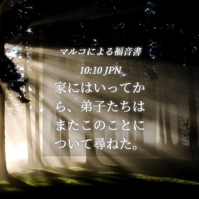 Picture 04 - マルコによる福音書 10:10 JPN - 家にはいってから、弟子たちはまた - Bible Verse Picture
