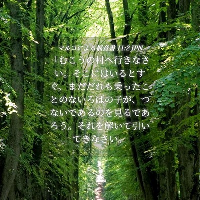 Picture 04 - マルコによる福音書 11:2 JPN - 「むこうの村へ行きなさい。そこに - Bible Verse Picture