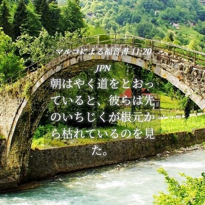 Picture 04 - マルコによる福音書 11:20 JPN - 朝はやく道をとおっていると、彼ら - Bible Verse Picture