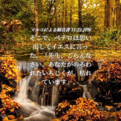 Picture 04 - マルコによる福音書 11:21 JPN - そこで、ペテロは思い出してイエス - Bible Verse Picture