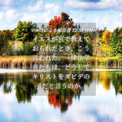 Picture 04 - マルコによる福音書 12:35 JPN - イエスが宮で教えておられたとき、 - Bible Verse Picture