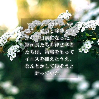 Picture 04 - マルコによる福音書 14:1 JPN - さて、過越と除酵との祭の二日前に - Bible Verse Picture