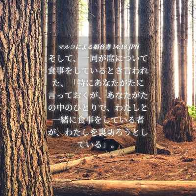 Picture 04 - マルコによる福音書 14:18 JPN - そして、一同が席について食事をし - Bible Verse Picture