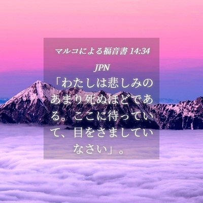 Picture 04 - マルコによる福音書 14:34 JPN - 「わたしは悲しみのあまり死ぬほど - Bible Verse Picture