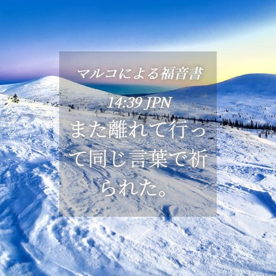 Picture 04 - マルコによる福音書 14:39 JPN - また離れて行って同じ言葉で祈られ - Bible Verse Picture