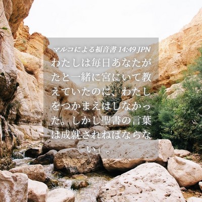 Picture 04 - マルコによる福音書 14:49 JPN - わたしは毎日あなたがたと一緒に宮 - Bible Verse Picture