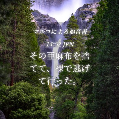 Picture 04 - マルコによる福音書 14:52 JPN - その亜麻布を捨てて、裸で逃げて行 - Bible Verse Picture