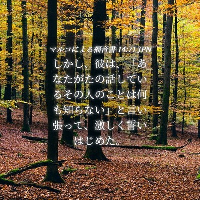 Picture 04 - マルコによる福音書 14:71 JPN - しかし、彼は、「あなたがたの話し - Bible Verse Picture
