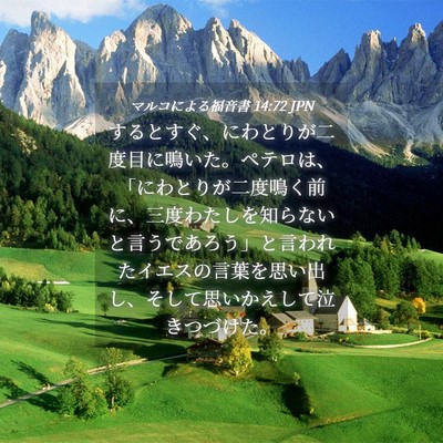 Picture 04 - マルコによる福音書 14:72 JPN - するとすぐ、にわとりが二度目に鳴 - Bible Verse Picture