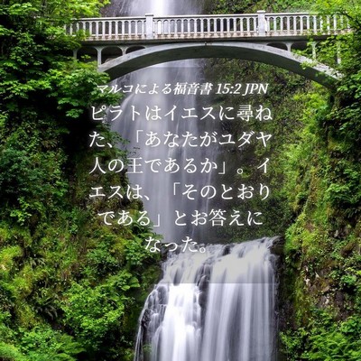 Picture 04 - マルコによる福音書 15:2 JPN - ピラトはイエスに尋ねた、「あなた - Bible Verse Picture